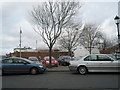 Winter trees yet to blossom in Gunwharf Road