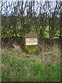 The Greenhead milestone - detail