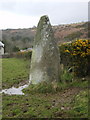 The Lady Stone at Ty-Meini