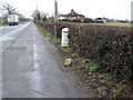 Milestone, Newsham