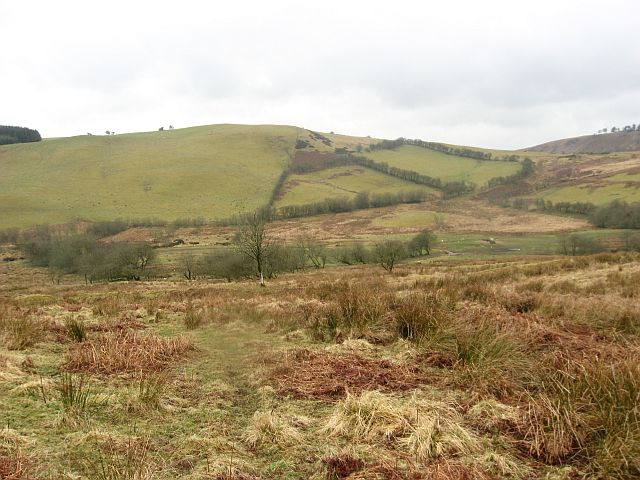 Scrubland and more common grazing pasture
