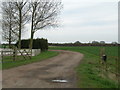 Track near Tansterne Grange (Public footpath)