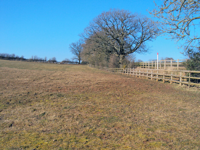 Meadow north of Crossington Farm