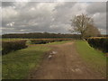 Byway to Orlestone Wents