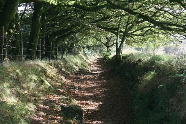 Bridleway between Jay's Grave and Natsworthy