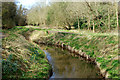 The Derryaghy River, Dunmurry