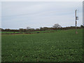 Fields north of Abbey Farm