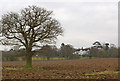 Towards Kinnersley Manor