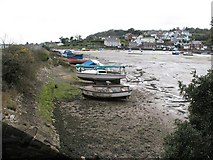 SX9780 : Low tide in Cockwood Harbour by David Gearing