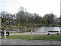 Pond, Barnes Green