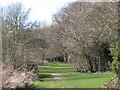 Footpath on the north bank of the River Tyne (3)