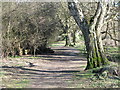 Riverbank footpath west of West Green (2)