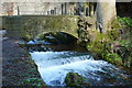 Bridge and waterfall by the boundary of Kearsney Abbey