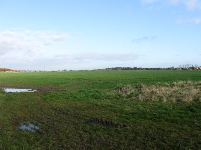 Fields north of Murton