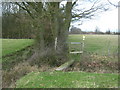 Footbridge and stile near Watland Wood