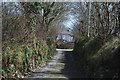 Minor road heading past Ty Llwyd