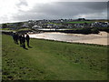 Walking the coast path at Trevone