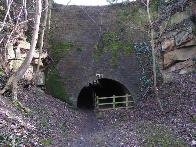 Canal Tunnel Buckland Hollow