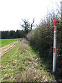 TG0304 : Gas pipeline marker beside hedge by Evelyn Simak