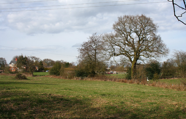 Pasture near Ivy House, Sound Heath