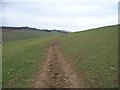 Hillside footpath