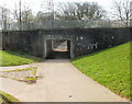 Underpass, Henllys Way, Coed Eva