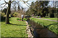 Carshalton:  River Wandle