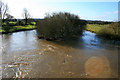 River Stour in spate