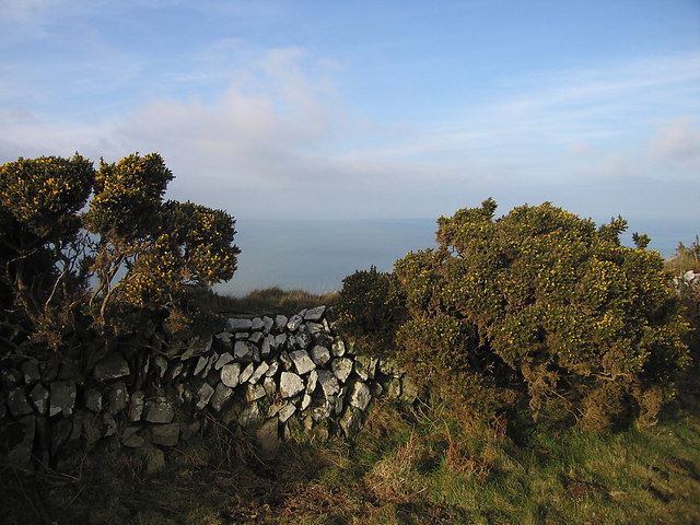 Gorse bushes and dry stone wall © Rudi Winter :: Geograph Britain and ...