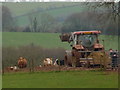 Mid Devon : Tractor, Field & Cows