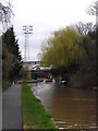 SO8556 : Bridge No. 12, Worcester & Birmingham Canal by Chris Allen