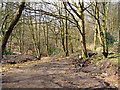 Prestwich Clough