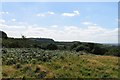 View towards Bardon Hill