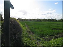 SK5726 : Footpath towards Costock by Andrew Tatlow