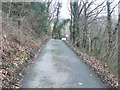 The track to Llanddoged near Ty