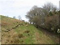 Looking up track above A482