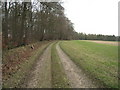 SU6649 : Countryside track by Mr Ignavy