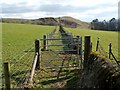 Path near Greenland Farm