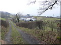 Farm lane down to Garth-yr-Hwylbren