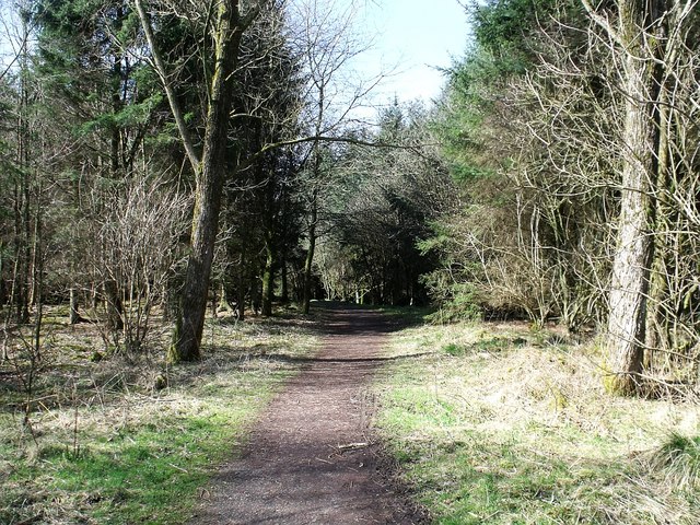 Broadwood woodland path network
