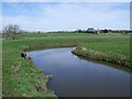 A Luggie meander