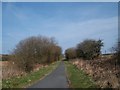 View North along the Lon Eifion Cycle Track