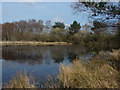 Pond, Chobham Common