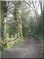 The Severn Way at Shelton