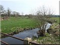 SK0234 : River Blithe downstream near Manor Farm by John M