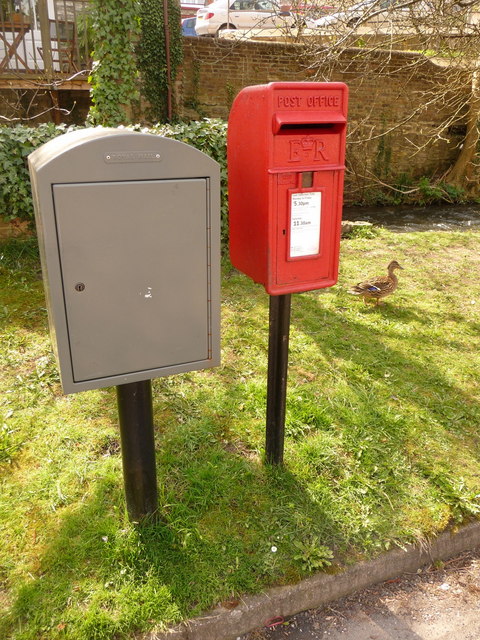 Dorchester: postbox № DT1 103 and a duck, Mill Street