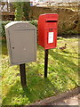 Dorchester: postbox № DT1 103 and a duck, Mill Street