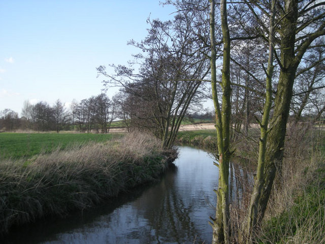 The River Alne in early spring