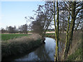 SP1564 : The River Alne in early spring by Row17