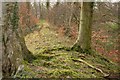 Path on Wansdyke